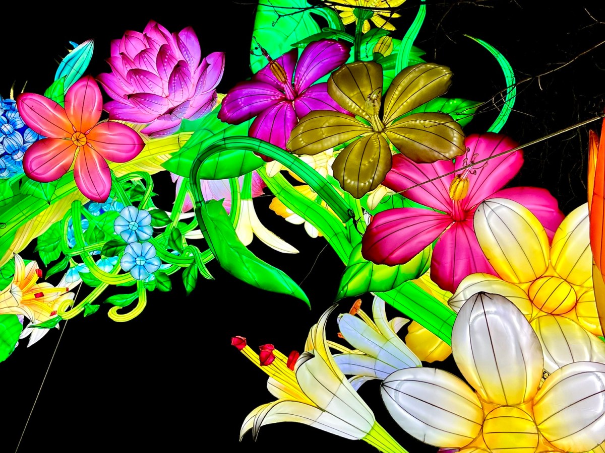 9x UITJES MET KINDEREN IN JANUARI IN&nbsp;BRABANT